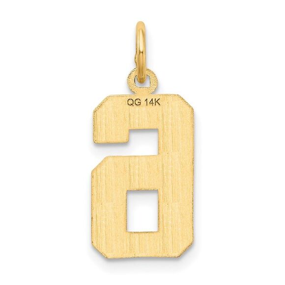 14K Yellow Gold, Varsity Collection, Medium D/C Pendant Number 6 - Picture 3 of 5